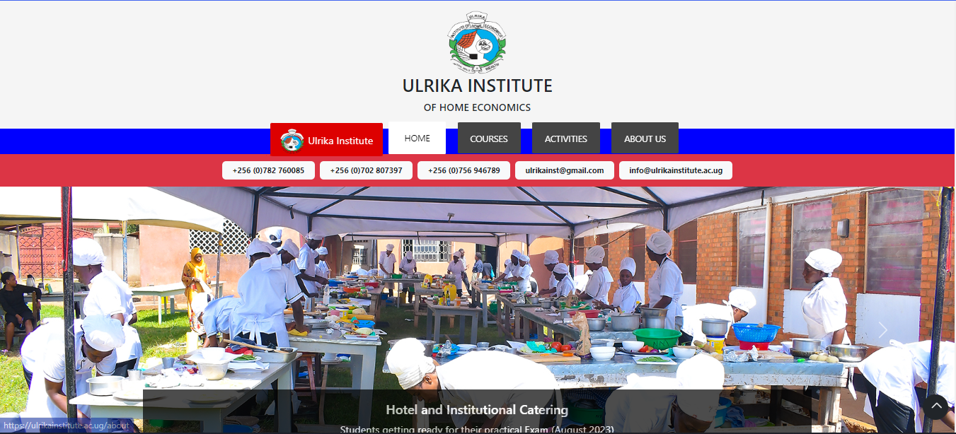 Ulrika Institute website project