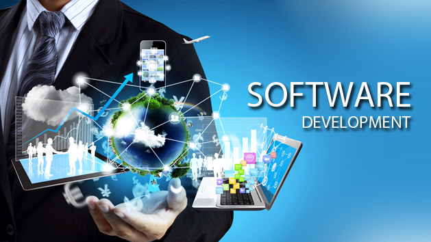 Custom software development