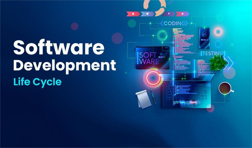 Custom software development
